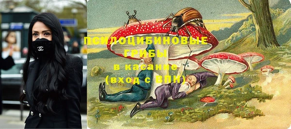 кокс Богородск