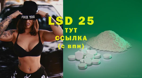 спиды Богородицк