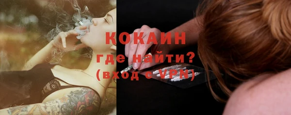 соль ск Богданович
