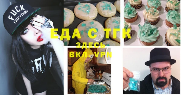 спиды Богородицк
