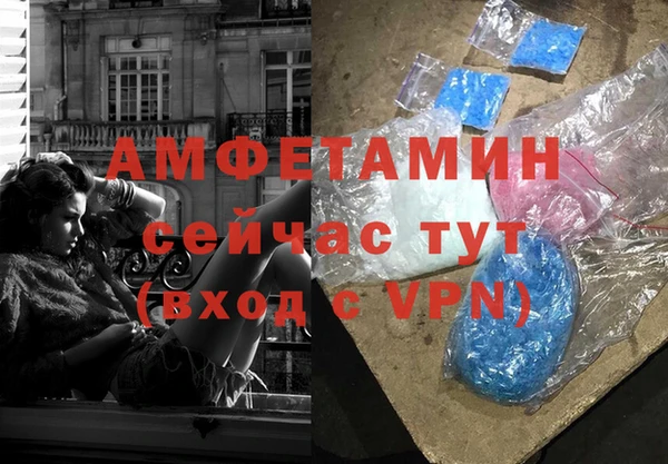 спиды Богородицк