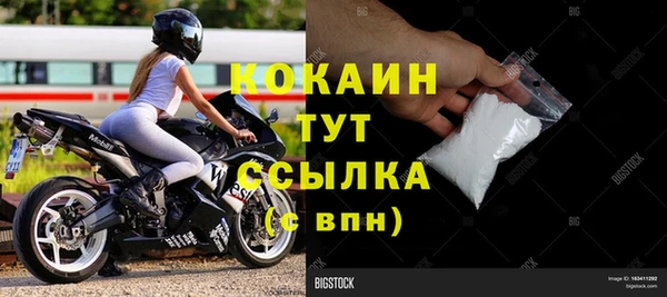 соль ск Богданович