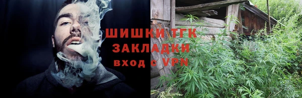 спиды Богородицк