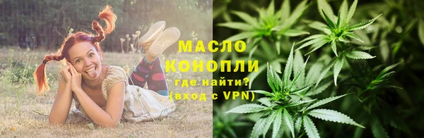 спиды Богородицк